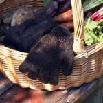 Skrub_a_potato_perunahanskat_2kpl